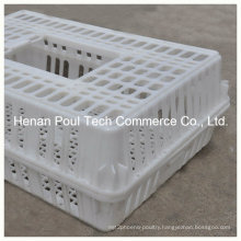 Plastic PE Material Chicken Transport Cage